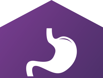 Gut decorative icon
