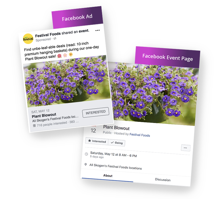 Festival Foods Facebook Ads