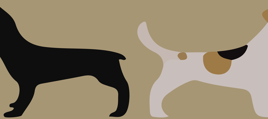 two dogs, one with a short tail and the other with a long tail