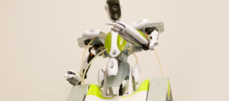 photo of a bot