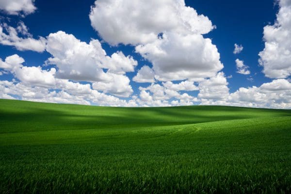 A field of rolling green meadows with a blue sky above it filled with puffy white clouds.